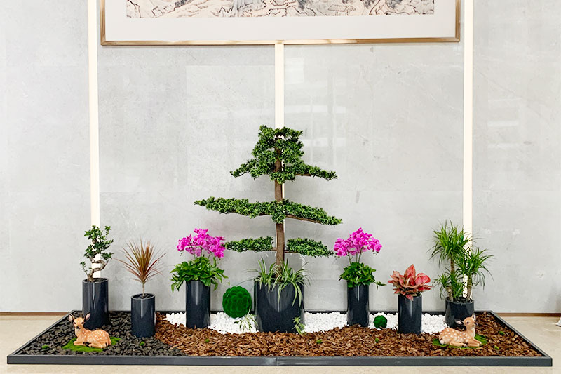 綠(lǜ)植租擺